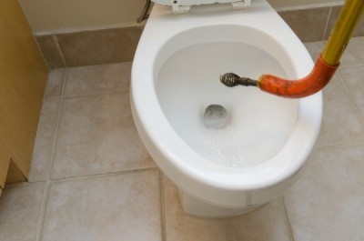 Dévouchage toilette avec un furet